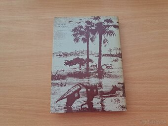 Frederik Hetmann: Stanley hľadá Livingstona - 6