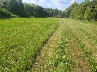 Seno možno doviesť - 6