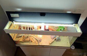 Terarium komplet - 6