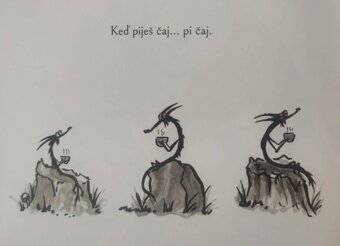 Veľká panda a malý drak; Cesta múdrej mačky - James Norsbury - 6