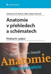 Anatomia e-knihy - 6