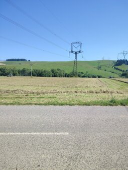 Seno,mladza horcica - 6