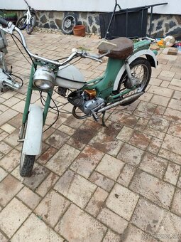 Predám 2 kusy Riga - 6