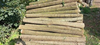 Agatove koly stlpy - 6
