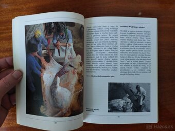 Domáca zakáľačka, porážanie, búranie, spracovanie - 6