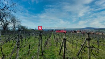 Rekreačná chata s vinohradom 608 m², Jelenec, Nitra - 6