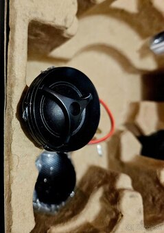 Morel maximus 602 v2 - 6