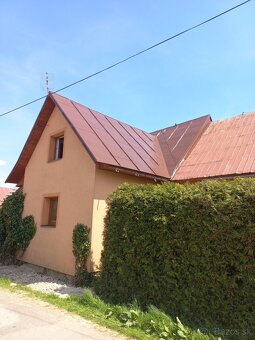 ✅️✅️✅️Nátery striech natieranie maľovanie N35 - 6