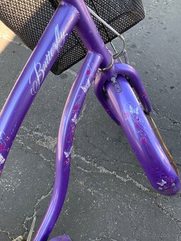 Liberty butterfly cruiser - 6