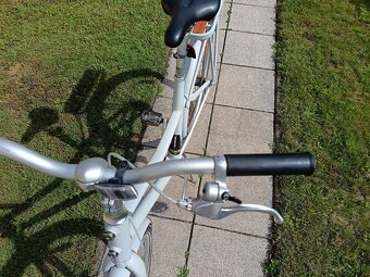 Bike Dynamax - 6