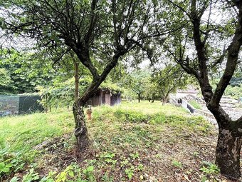 Záhrada 566 m² v Dúbravke| Elektrina | Ticho a zeleň - 6