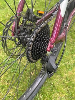 Damsky Elektrobicykel CTM Ruby - 6