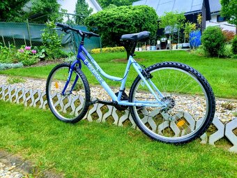 Bicykel Engine - 6