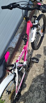 Bicykel Ctm 24" pink - 6