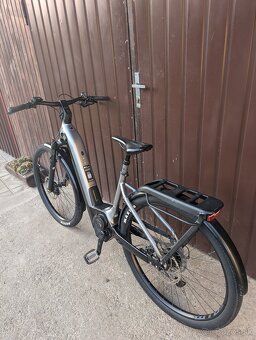 Cannondale Tesoro Neo X 1 - 6