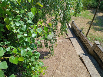 Rodinný dom s veľkým pozemkom - Veľký Kýr - 6