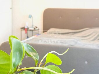 TUreality ponúka na predaj investičný dom na AIRBNB... - 6