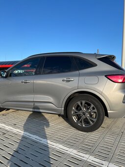 Kuga - 6