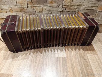 Gombikova harmonika - 6