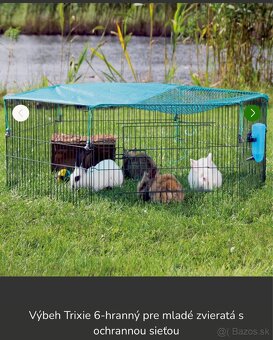 Voliera pre zajaca - 6