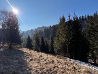 TRIOREALITY - Rekreačné pozemky na predaj - 13.038 m2 - 6