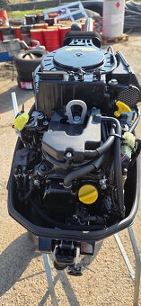 Mercury F 20 MH EFI - 6