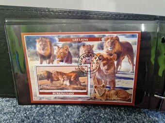 Zberatelsky album s Arsikmi - 6