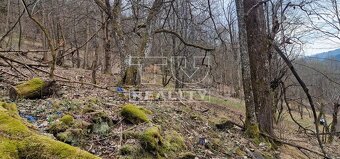 3500m2 v Hornej Maríkovej pre Váš dom v prírode - 6