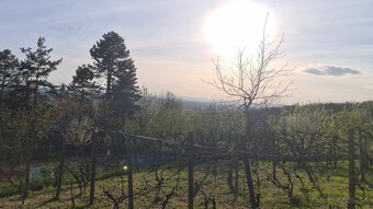 Záhradka a chata - Mlynárska hora - 6