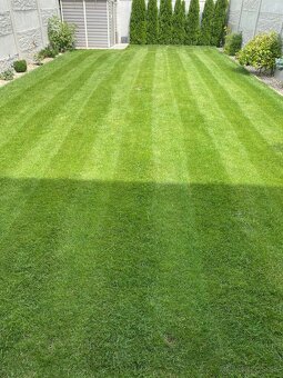 Elektrická vretenová kosačka PARKSIDE - 6