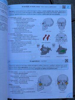 Memorix anatomie 6.vydanie - 6