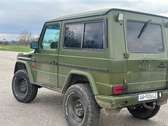 Mercedes g 300d w463 - 6