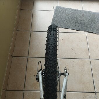 Kellys Marc 1, 24" - 6