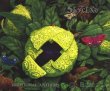 CD Skyclad - 6