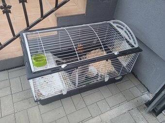Predám klietku veľkú komplet plus krásneho zajačika - 6