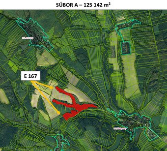 Rokycany – 233.000 m2 LESNÉ POZEMKY v podiele 1/1 - 6