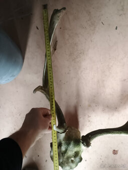 Parohy, zhody, trofej - aj výmena za včelársku literatúru - 6