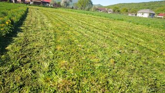 Kosenie Uličská dolina - 6