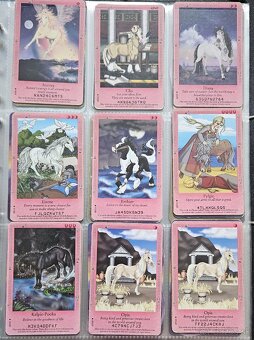 Bella Sara karty - 6