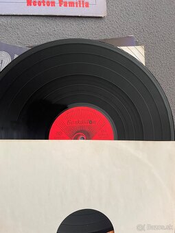 Lp platne na predaj - 6