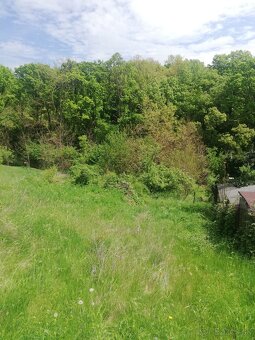 Predám záhradu - 6