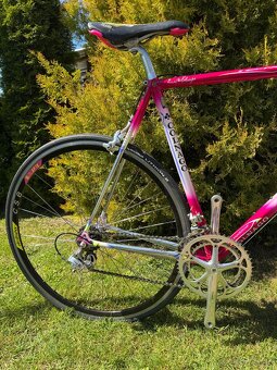 Colnago Tecnos Art Decor - 6