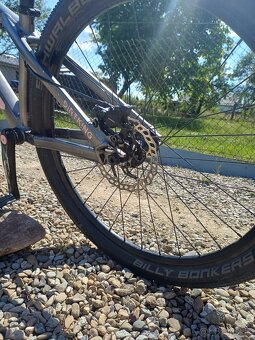 Ctm dirtking - 6