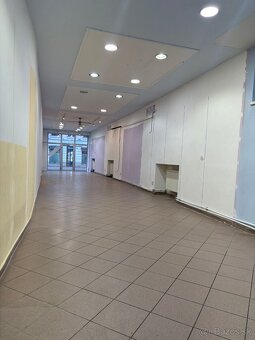 Prenajom obch. Priestoru v centre BA - 6