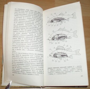 Atlas rýb - 6