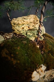 Bonsai Krajinka v miske 78x38cm, prírodný kameň - 6