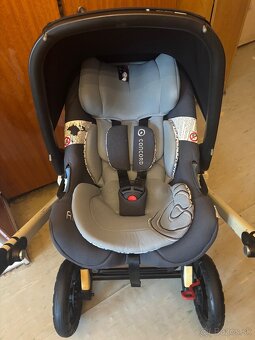 Kocik Concord Wanderer - 6