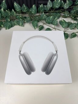 AirpodsMax - 6
