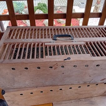 Rozpredam holubnik plus hodiny benzing - 6