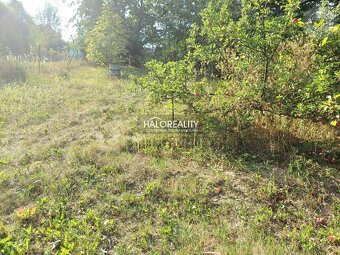 HALO reality - Predaj, záhradný pozemok 494 m2 Handlová - - 6